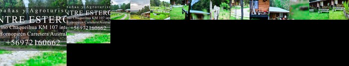 Entre Esteros Hornopiren