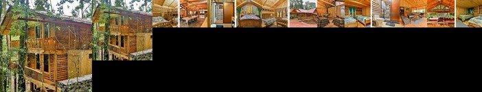 Desarrollo Turistico Rural Montana Viviente