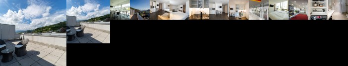 Hine Adon Bern Airport