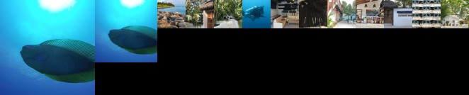 Rasdhoo Dive Lodge