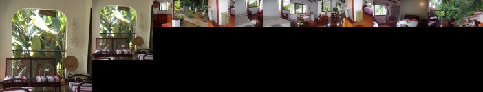 Papaya Guesthouse Victoria