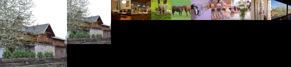 Penzion Dvur Krasikov