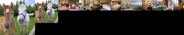 Lakeland Midsummer Lakehouse