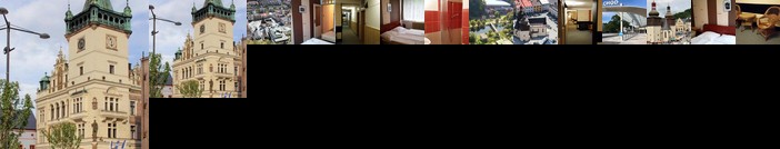 Hotel Zimni stadion Nachod