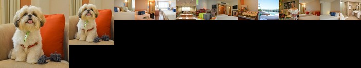 Novotel Rio De Janeiro Barra Da Tijuca