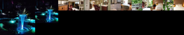 Forest Hill Bed and Breakfast