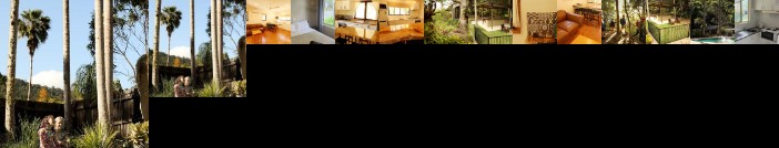 Mt Warning Rainforest Park