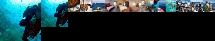 Cabo Pulmo Sport Center Bungalows