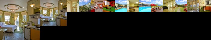 The Afternoon of Forest Pension