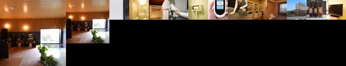 Hotel Route Inn Annaka