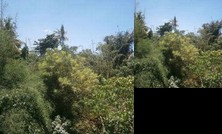 Waterfall Room at Rumah Jepun