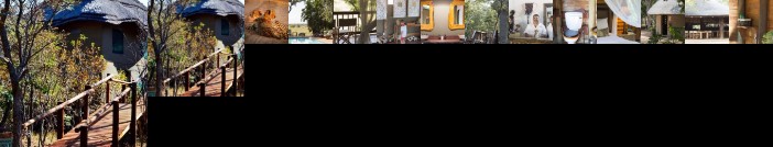 Honeyguide Ranger Camp