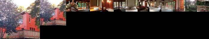 The Coromandel Treehouse