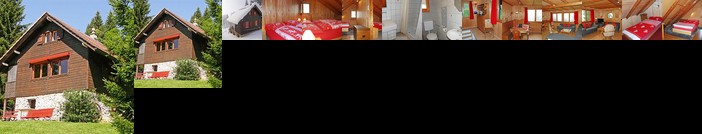 Interhome - Chalet de la Vue des Alpes