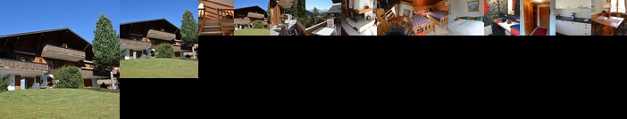 Apartment Chouflisbach I