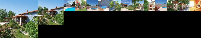 Interhome - Begonija