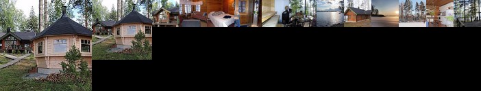 Puolen hehtaarin metsa