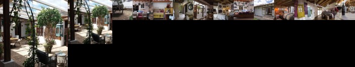 Mexicanos 10 CasaVieja