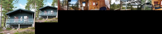 Three Bedroom Holiday home in Aseral 3 Aseral