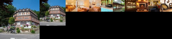 Hotel Ricordo Du Parc