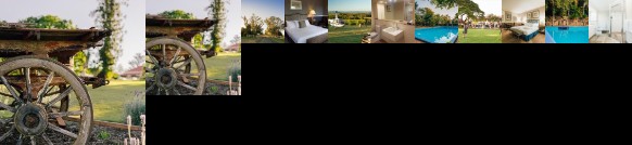 Woodlands of Marburg