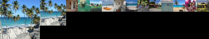 Yellow Bird Apartment