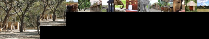 Gwango Elephant Lodge