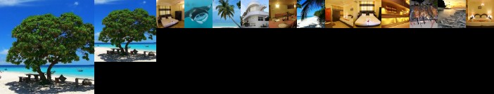 Hanifaru Transit Inn