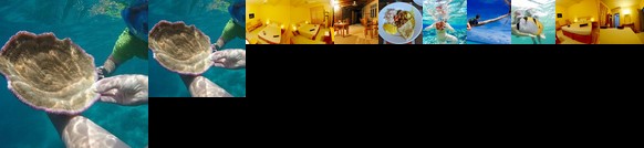 Wind Breeze Sunset View Inn