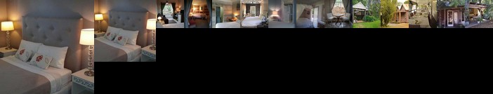 The Laurels of Chinchilla