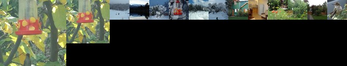 Colibri House San Martin de los Andes