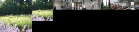 O lit de l'Ourthe Bungalow