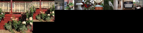 Oxford Rise Apartment