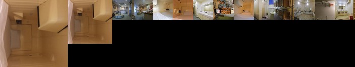 Capsule Inn Hamamatsucho