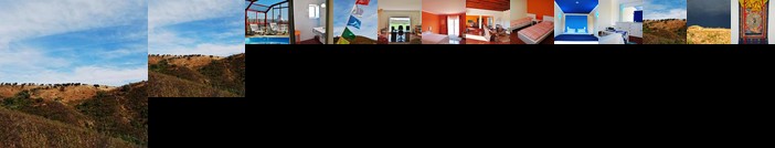 Buddha Peaceful Oasis