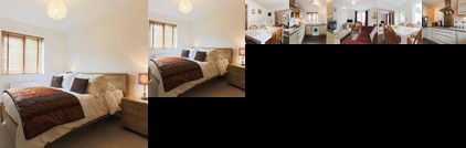 Seahorses St Austell