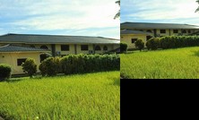 Frog and Pheasant Guesthouse