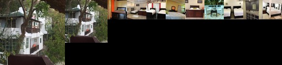 Daymond Blue Tropical Lodge