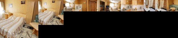 Svetlana Parkhaus Apartment