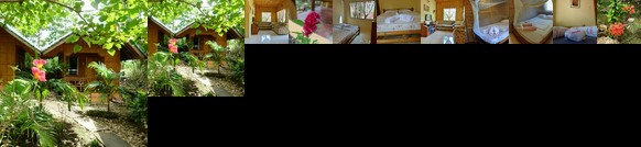 Palm Tree Guesthouse