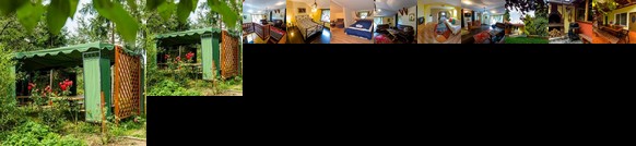 Pension Agnes Viseu de Sus