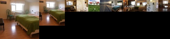 Ondolfsstadir Farm B&B
