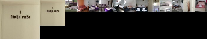 Guest House Villa Herbarium