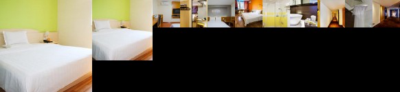 7days Premium Luoyang Jiudu Road Chinese Flowers Garden