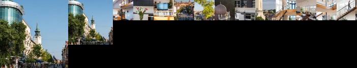 Apartment Penthouse Festina Lente