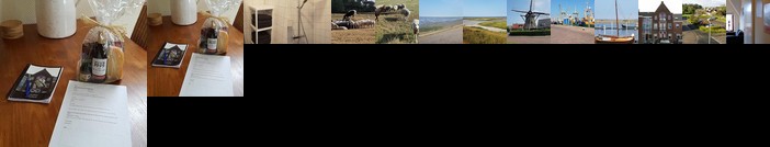 Apartment Zonnebloem