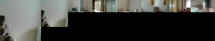 Elena's Apartment Voronezh