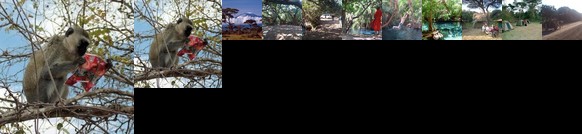 Chemka Hot Springs Campsite