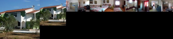 Apartment Greeny Galizana
