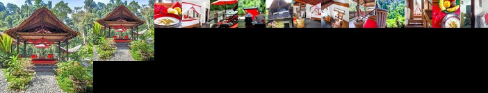 EcoTravel Cottages Bukit Lawang